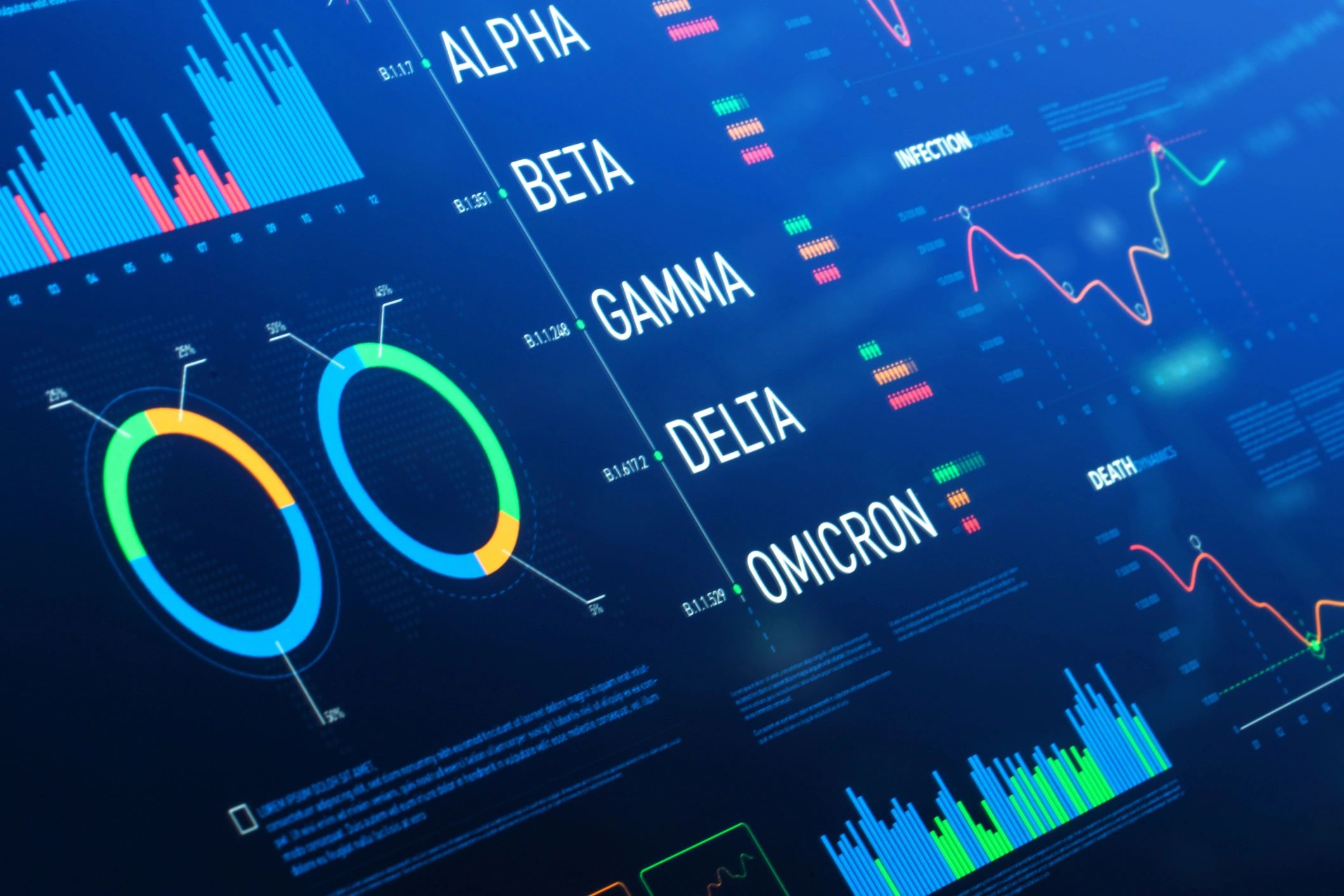 business software dashboard