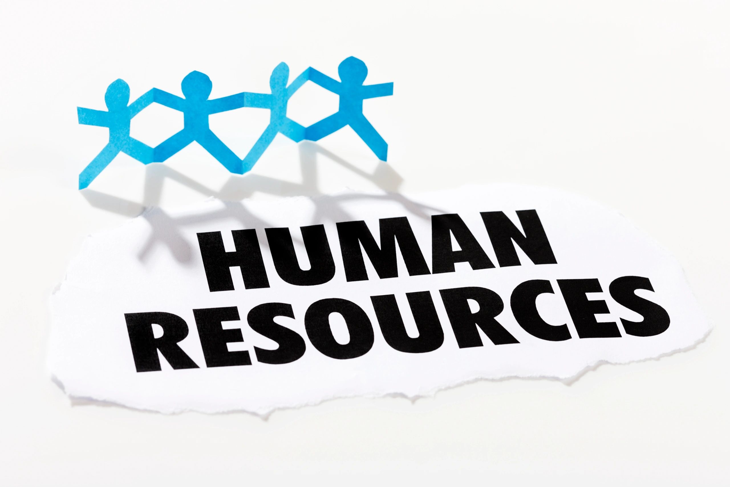 secure HRMS login interface